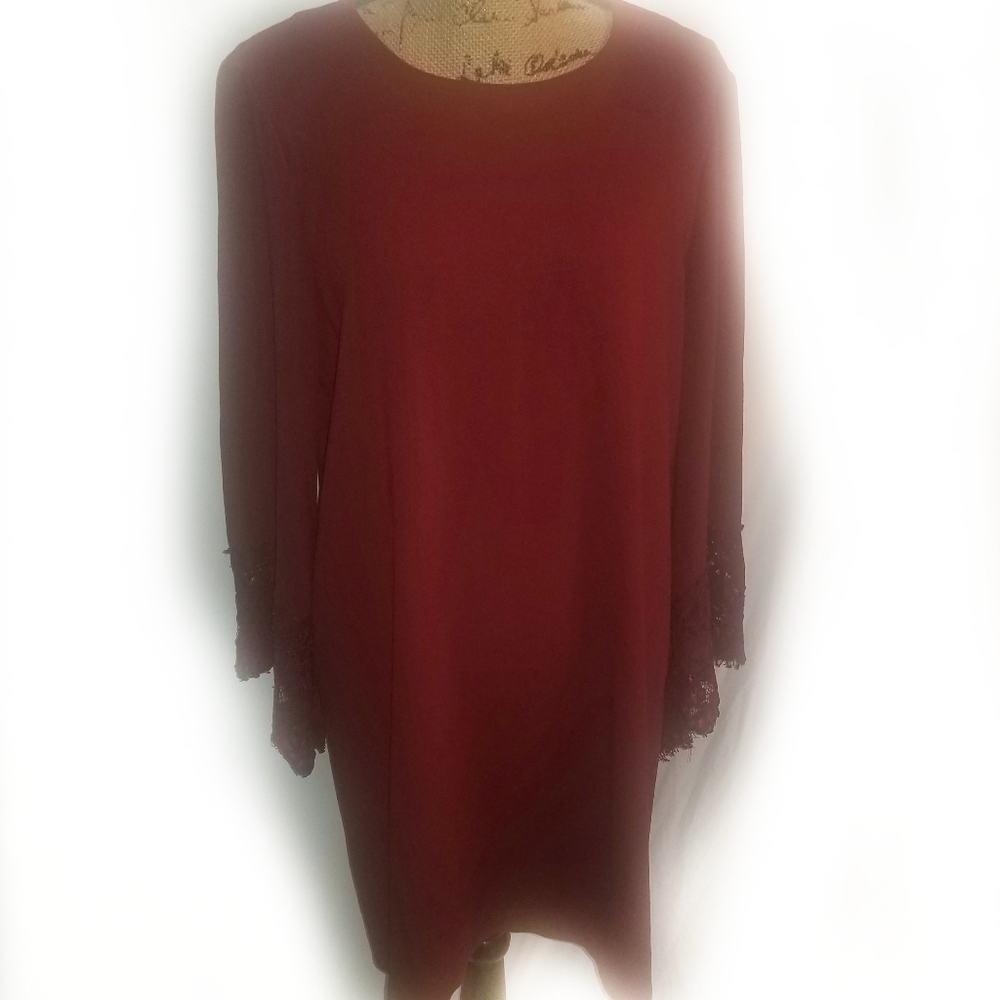 Lace sleeve Dress